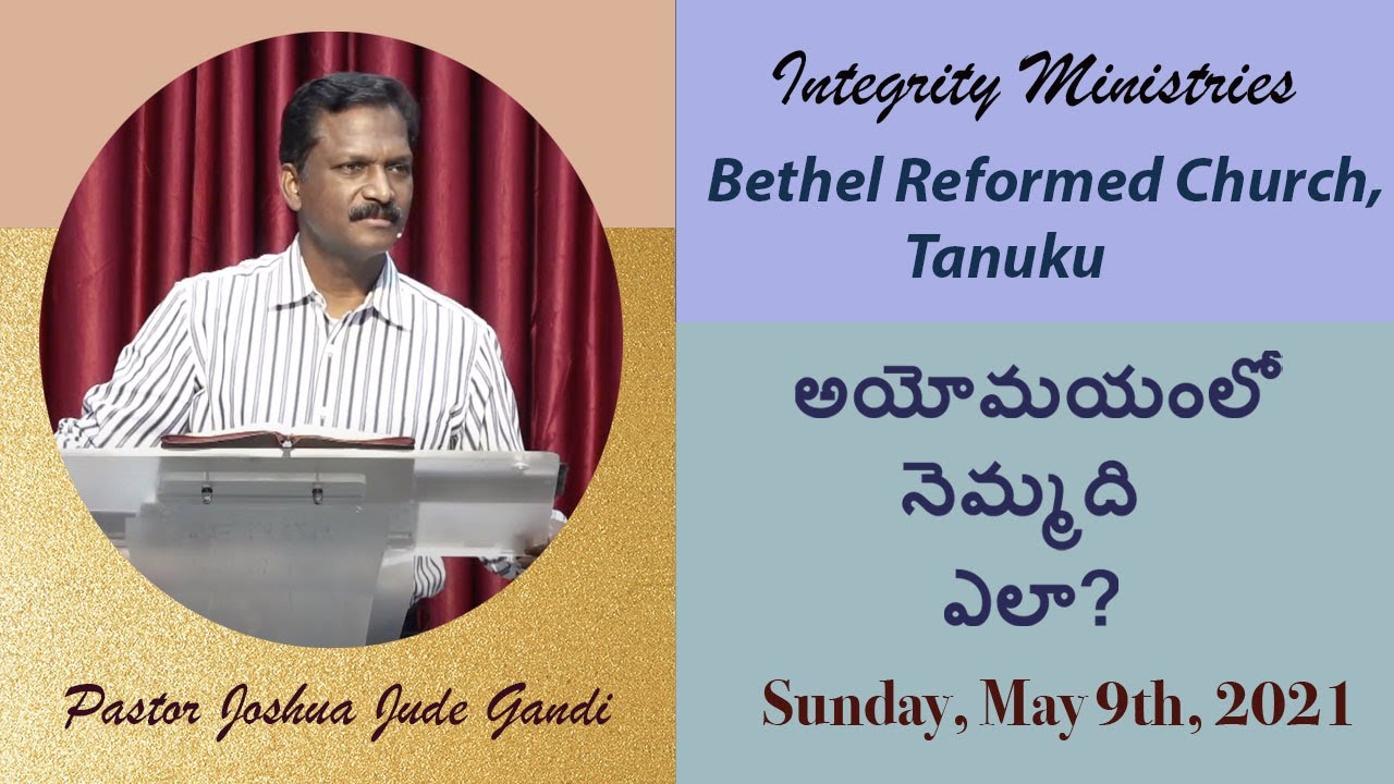 అయోమయంలో నెమ్మది ఎలా_